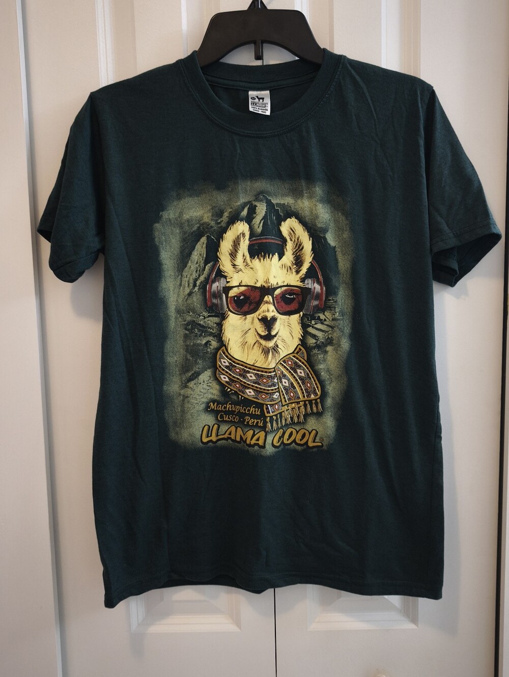 Mens Llama Cool Graphic Tee